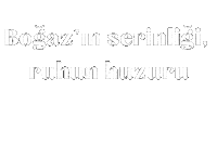 Istanbul Sticker
