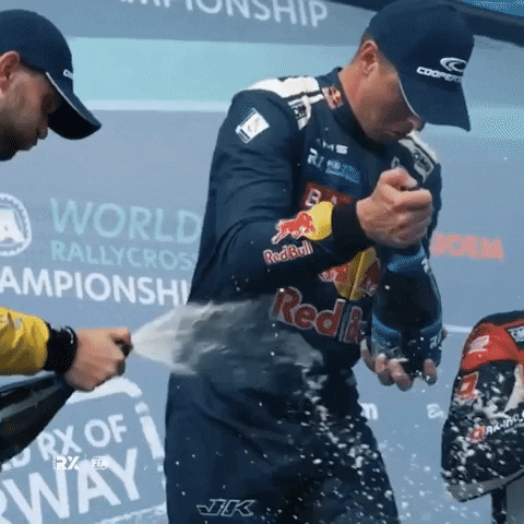 Celebration Win GIF by World RX - FIA World Rallycross Championship