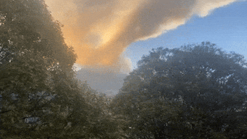 'All You See Is Smoke': Mountain Fire Sends Huge Cloud Over Bogota