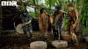 horrible histories gym GIF by CBBC
