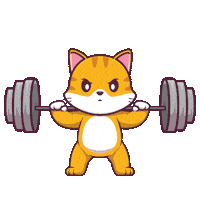 Cat Gym Sticker by CATECOIN