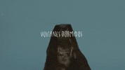 GIF by Sony Music Colombia