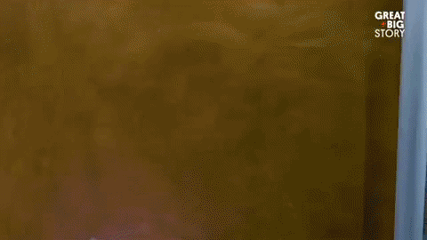 Stop Motion GIF by Great Big Story