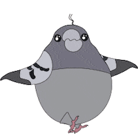 Pidgeon Sticker