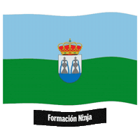 Castilla-La Mancha Flag Sticker by Formación Ninja