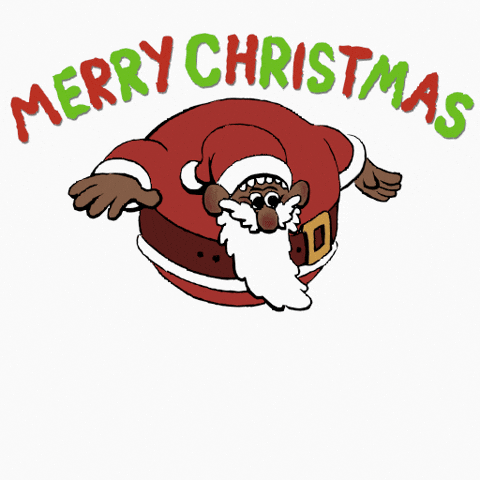 Merry Christmas GIF by aap