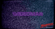 vhs frightfest GIF by Signature Entertainment
