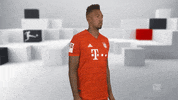 Posing Germany GIF by Bundesliga