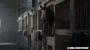 sad super bowl GIF by SB Nation