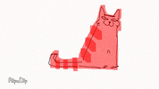 happy cat GIF