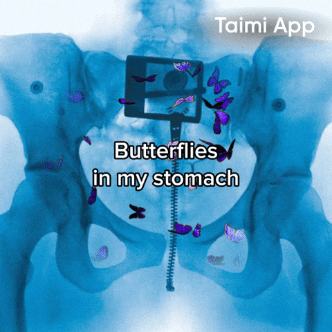 Butterflies In My Stomach GIF by Taimi