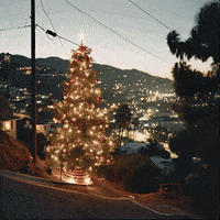 echo_echo_studio christmas california los angeles runway GIF