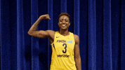 basketball sport GIF by Indiana Fever