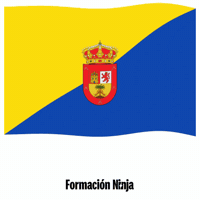 Las Palmas Flag GIF by Formación Ninja