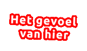 Carnaval Brabander Sticker by Omroep Brabant