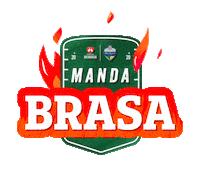 Nfl Futebol Americano Sticker by Perdigão