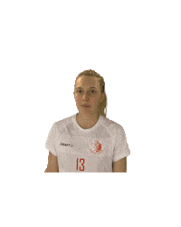 uhcvisperlions lions floorball unihockey wallis Sticker