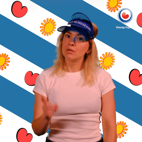 Stout Simmer GIF by Omrop Fryslân