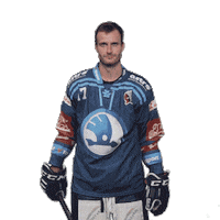 Hockey Thumbs Up Sticker by HC Škoda Plzeň
