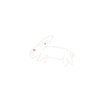 Tired Rabbit Sticker