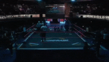 Guerrero Maya