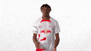 Oh Yeah Yes GIF by RB Leipzig