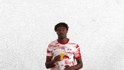 Football What GIF by RB Leipzig