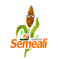 Sorgo Sticker by semealisementes
