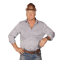 Channel 9 Scotty Sticker by The Block