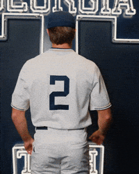 Georgia Tech Baseball GIF by Georgia Tech Yellow Jackets