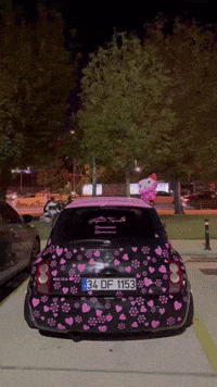Car Love GIF