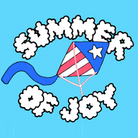 Independence Day Fun GIF by Creative Courage