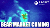 Bear Crypto GIF by ProBit Global