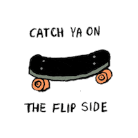 Skate Skateboarding Sticker by Aerie