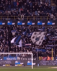 Fans GIF by Club Brugge