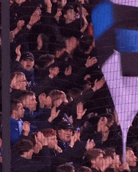 Fans GIF by Club Brugge