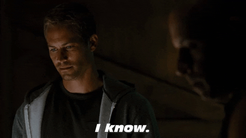 Fast And Furious Brian Oconner GIF by The Fast Saga