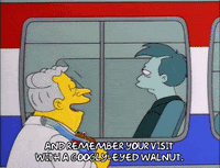 season 8 larry burns GIF