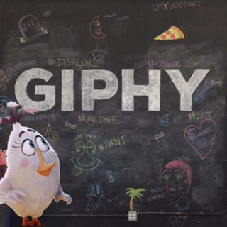 angry birds GIF by GIPHY CAM