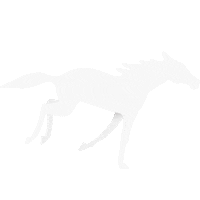 Smu Utility Sticker by SMU