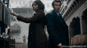 Harry Potter Fight GIF by Warner Bros. Deutschland