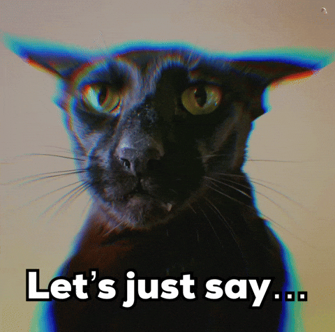 Black Cat GIF
