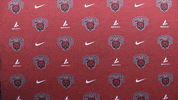 College Sports Sport GIF by CWU Athletics