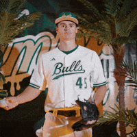 South Florida Baseball GIF by USF Athletics