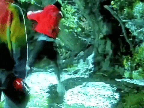 Dominic Fike Lil Nas X GIF by BROCKHAMPTON