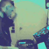 dj wildlife GIF by Njorg