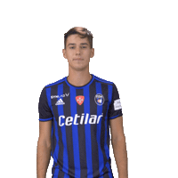 Pisa Celebrating Sticker by 21BE