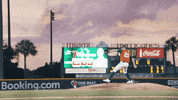 miamihurricanes miami hurricanes um baseball miami hurricanes baseball hurricanes baseball GIF