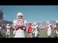 florida atlantic ring GIF