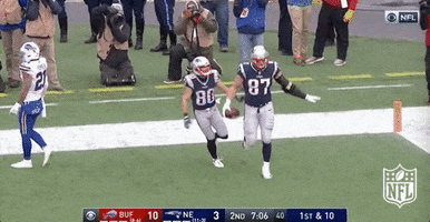 New England Patriots Football GIF by NFL